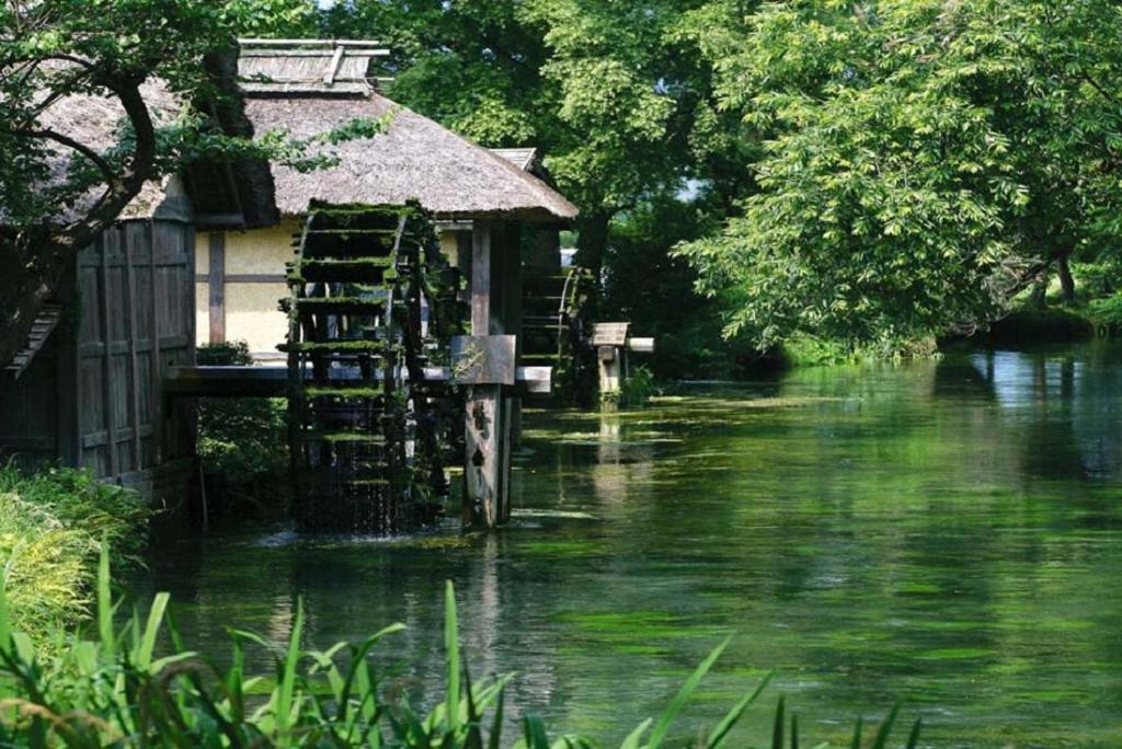 金剛寺 宿坊 成穂院 Matsukawa Exterior foto